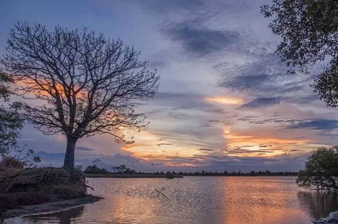 Kawasan Tambak Kalanganyar - 1.jpg